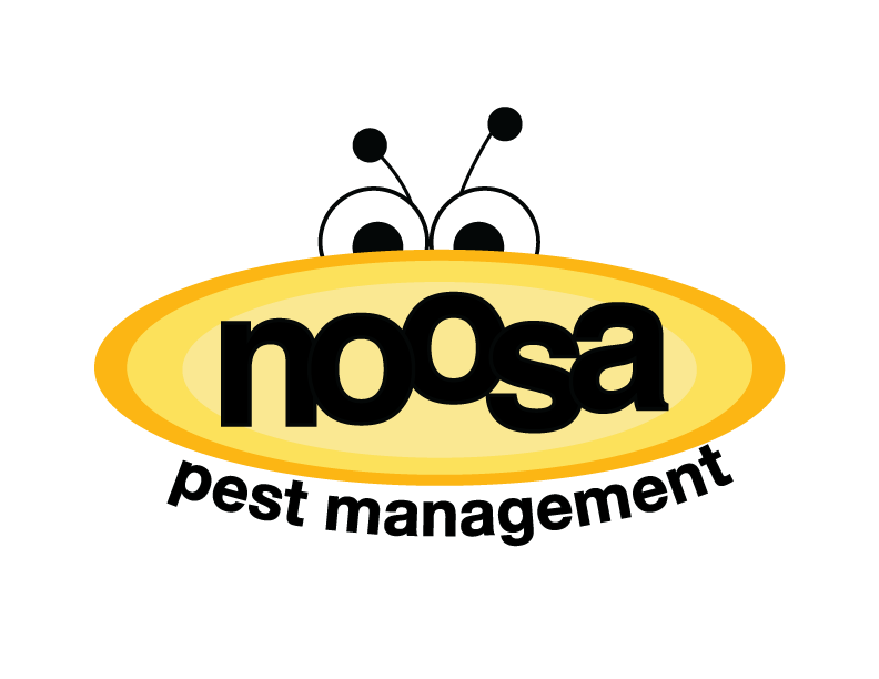 noosa