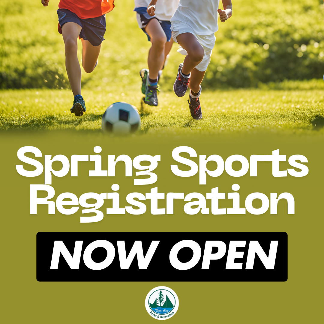 Spring Sports Graphic