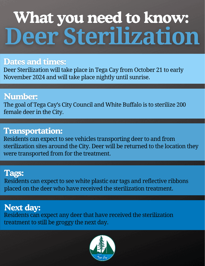 What you need to know